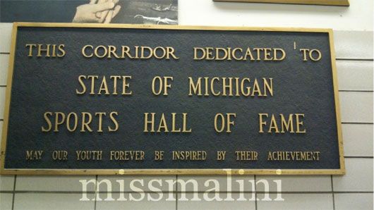 Michigan Hall of Fame
