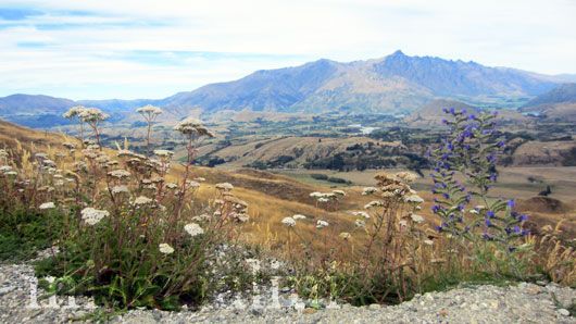 View from Coronet Peak, on the Road to Arrowtown