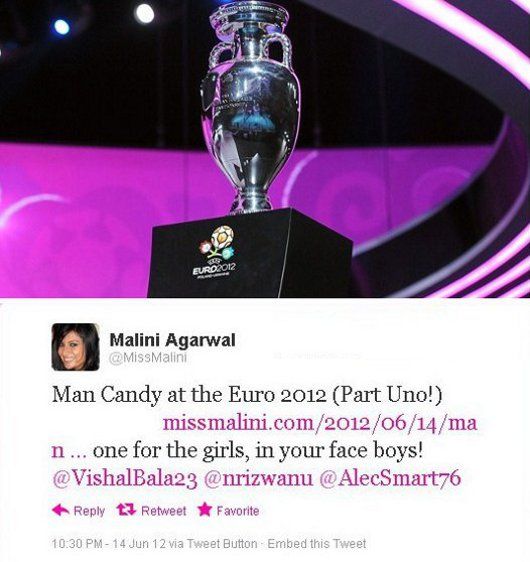 Euro 2012 trophy