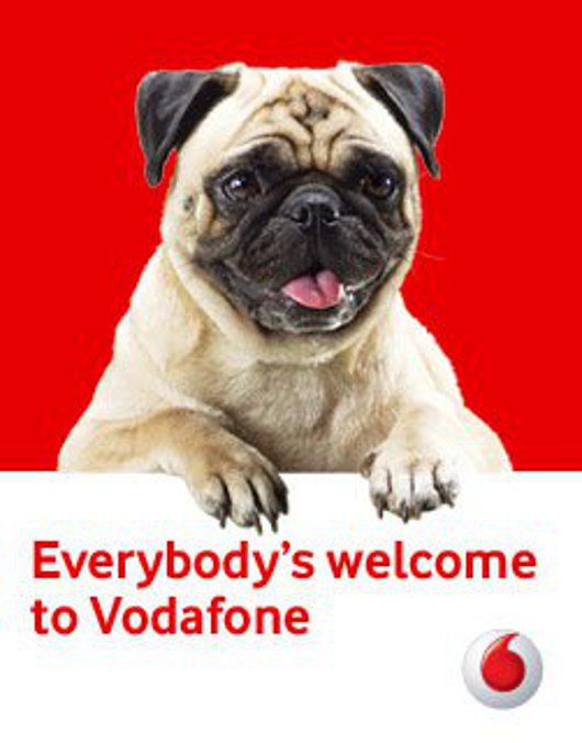 The Vodafone Pug Gets Cuter by the Day…