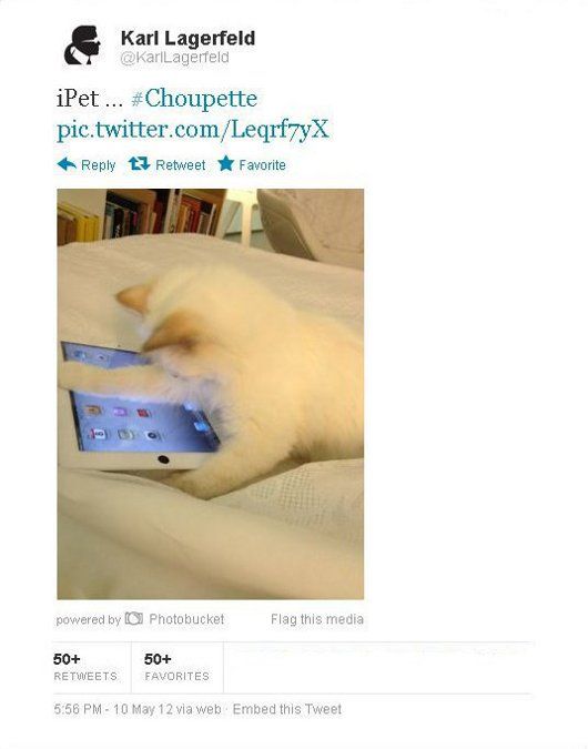 Choupette on her iPad