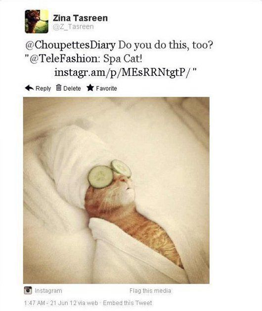 What I tweeted to @ChoupettesDiary...