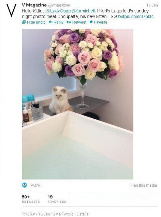 Choupette, Karl Lagerfeld's "spoiled princess"...