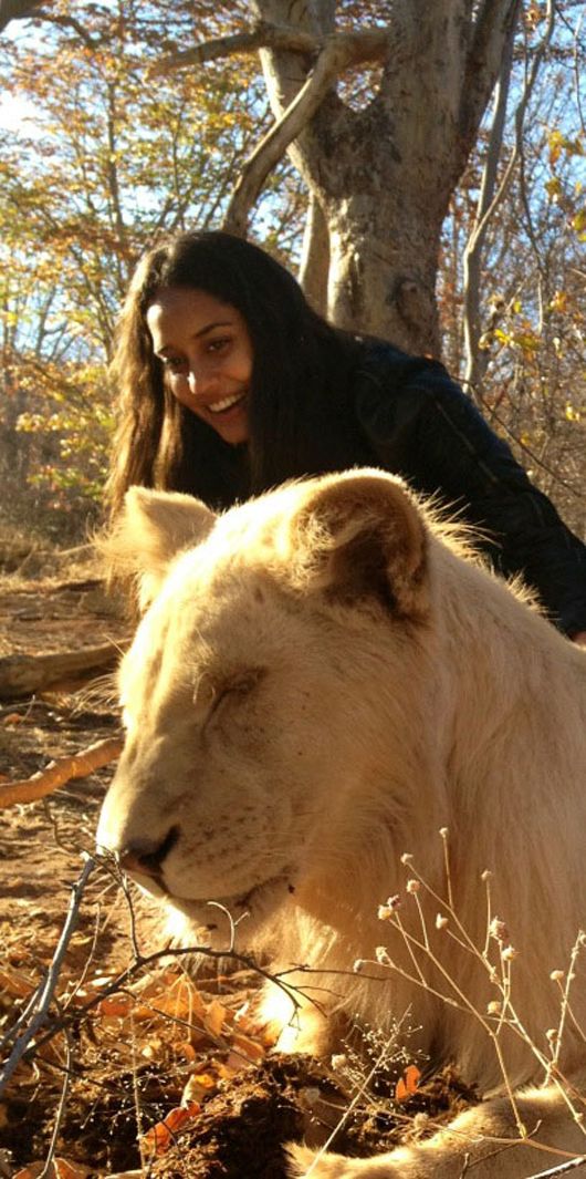 Lisa, the lion whisperer