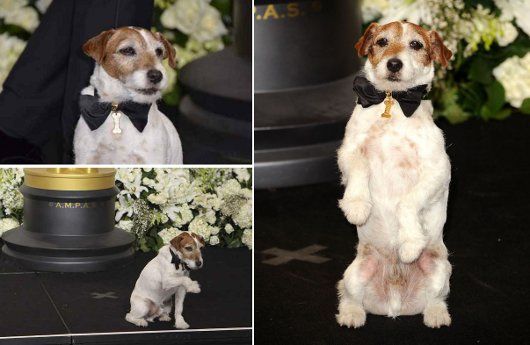 Uggie, The Artist Dog: The Real Star of 2012 Oscars?