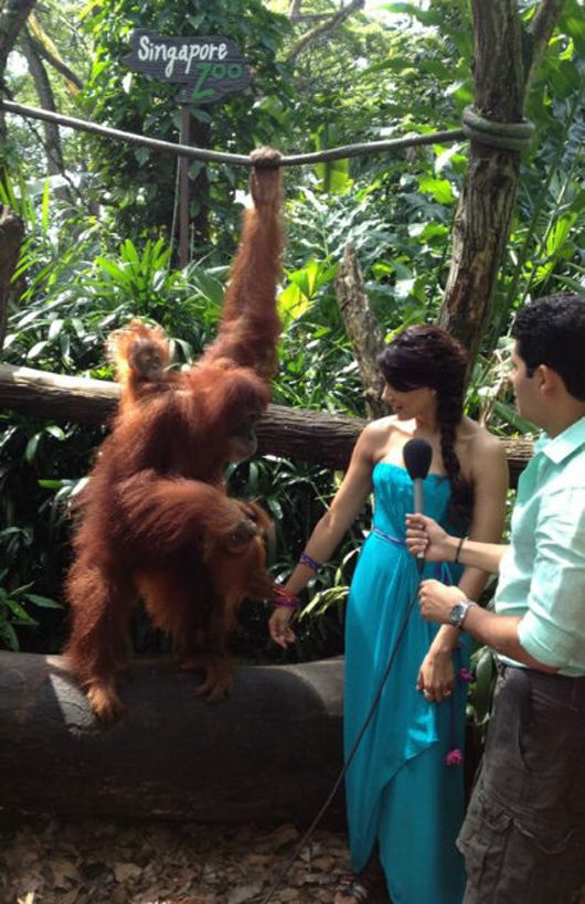 Bipasha with Orangutan Baby Bino