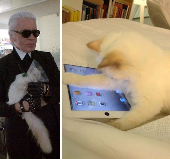 Is Karl Lagerfeld Naming the Next Chanel Bag after His Cat?