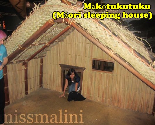 Maori sleeping house