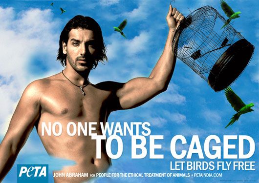 Was Sangram Singh Really Nude in this PETA Ad?