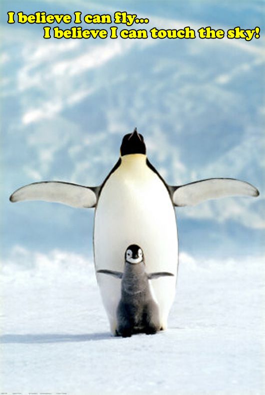 Penguin