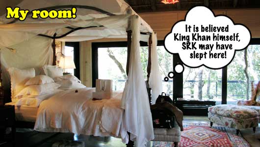 King Khan's bed