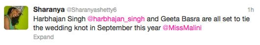 Harbhajan Singh and Geeta Basra to Tie the Knot in September?