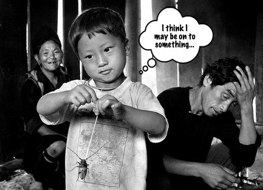 Hmong Boy with a Bug on a Leash