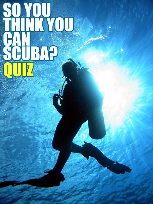 Scuba Diver (photo courtesy | aboututila.com)