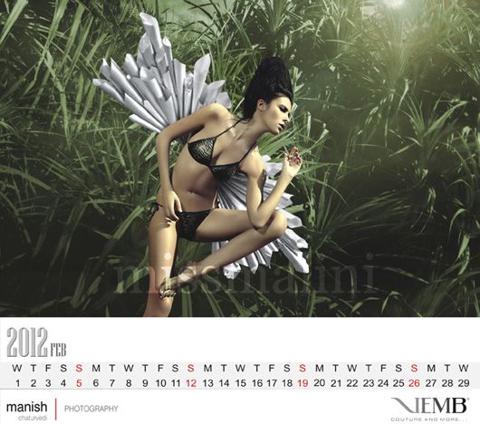 February's angel from the 2012 calendar by photographer Manish Chaturvedi
