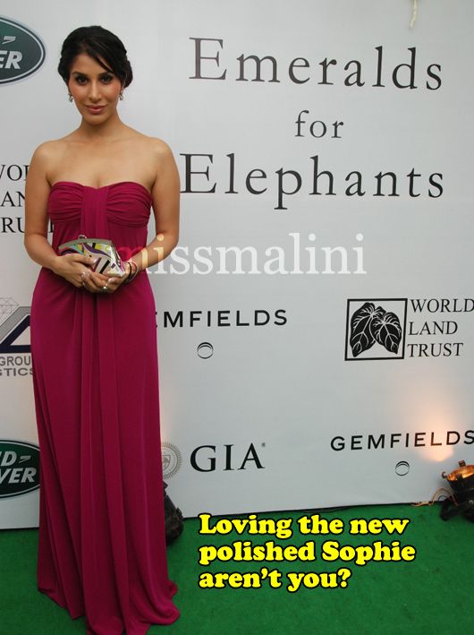 Sophie Choudhry at the  GEMFIELDS ‘Emeralds for Elephants’ Event