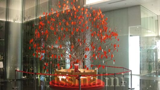 A traditional Chinese wishing tree