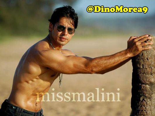 Dino Morea