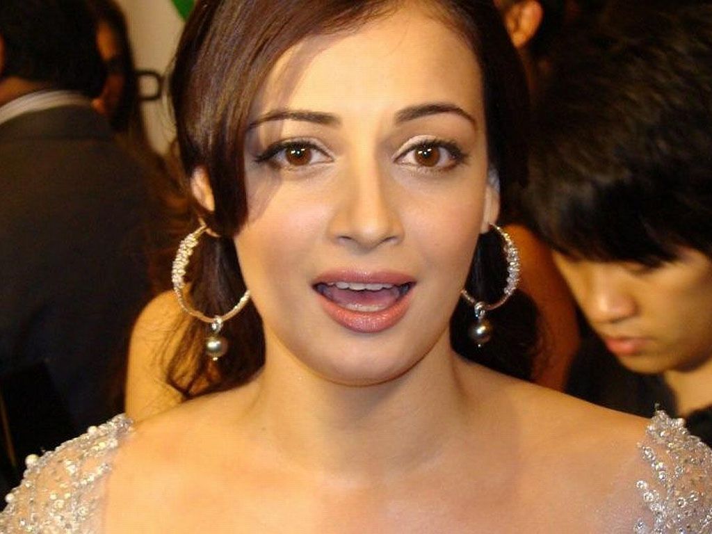 Does Dia Mirza Have a Bollywood Twin?