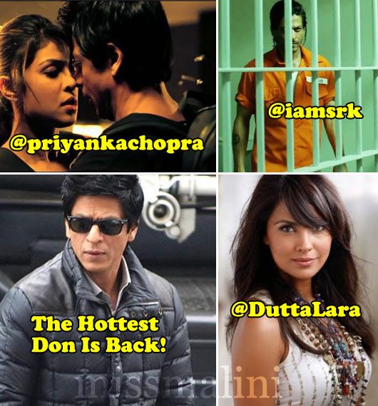 Shah Rukh Khan, Priyanka Chopra & Lara Dutta In Don 2