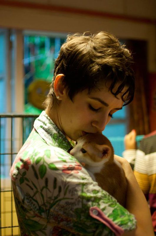 Adopt a Kitten (photo courtesy | Anita Shyam)