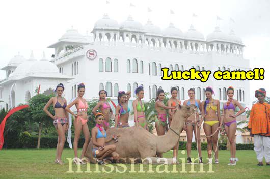 Forget the Purdah System! It’s Bikini Babes at the Royal Palace in Udaipur