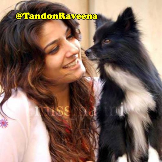 a file picture of actress and PETA activist Raveena Tandon
