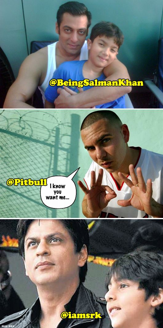Salman Khan, Nirvaan, Pitbull, Shah Rukh Khan and Aryan