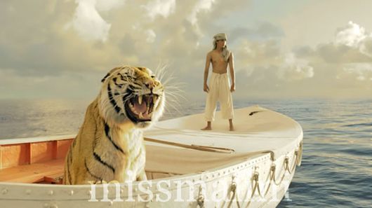 Suraj Sharma in Ang Lee's Life Of Pi