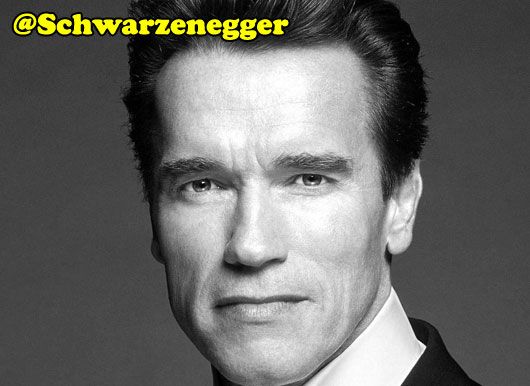 Arnold Schwarzenegger (photo credit movieplanner.com)