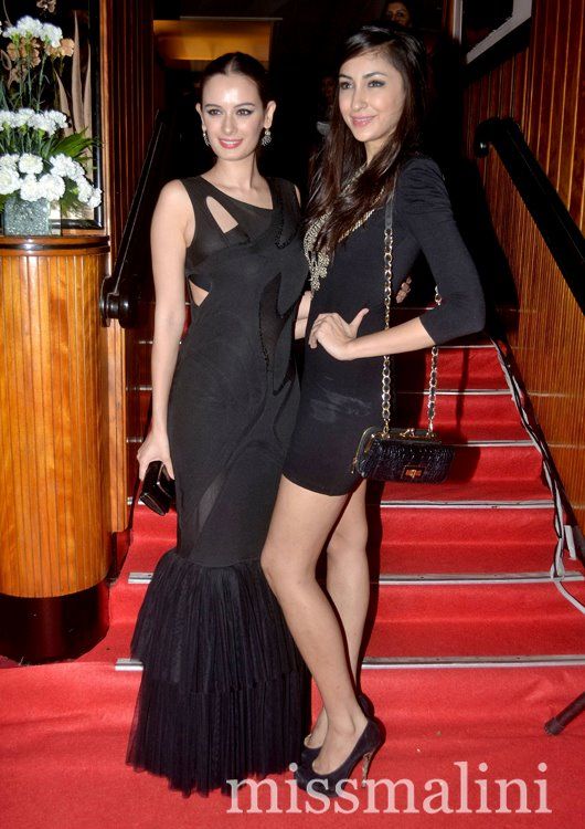 Evelyn Sharma in Narendra Kumar Evelyn Sharma in Narendra Kumar