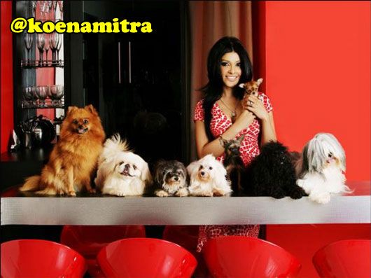 Koena Mitra with Cookie, Jiggy, Sushi, Missy, Bella, Dude, Fluffy and Jerry (photo courtesy | dogsandpups.net)