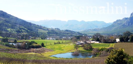 On the road to Franschhoek