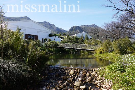 Bridge at La Motte Wine Estate