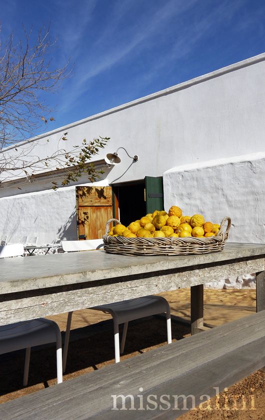 Lunch at Babylonstoren