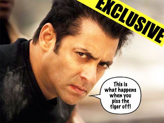 Exclusive: Salman Khan Refuses to do ‘Ek Tha Tiger’ Sequel