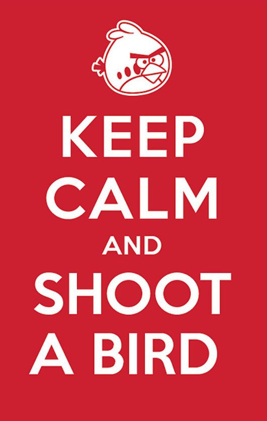 Keep Calm and Shoot a Bird (photo courtesy | manishmansinh on Flickr)