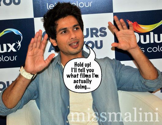 Shahid Kapoor Has Not Signed Rajkumar Santoshi S Film Missmalini