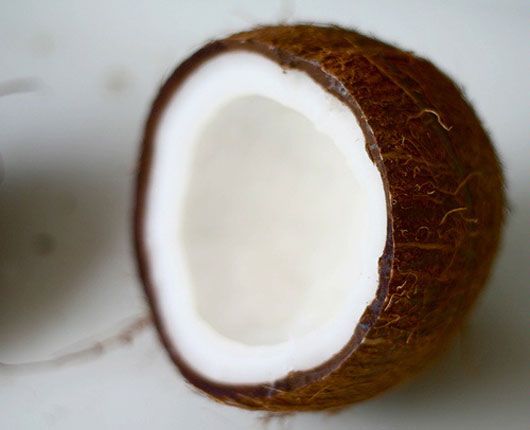 Coconut (photo courtesy | suite101.com)