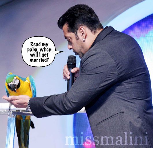 Salman Khan - Bigg Boss 6