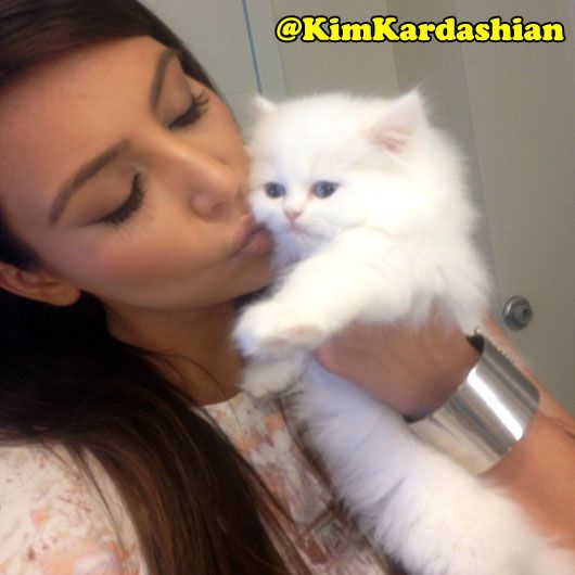 Kim Kardashian with Mercy (photo courtesy | Kim Kardashian Twitter)