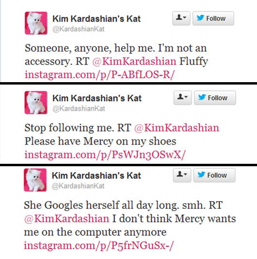 Kardashian Kat Tweets (photo courtesy | Twitter)