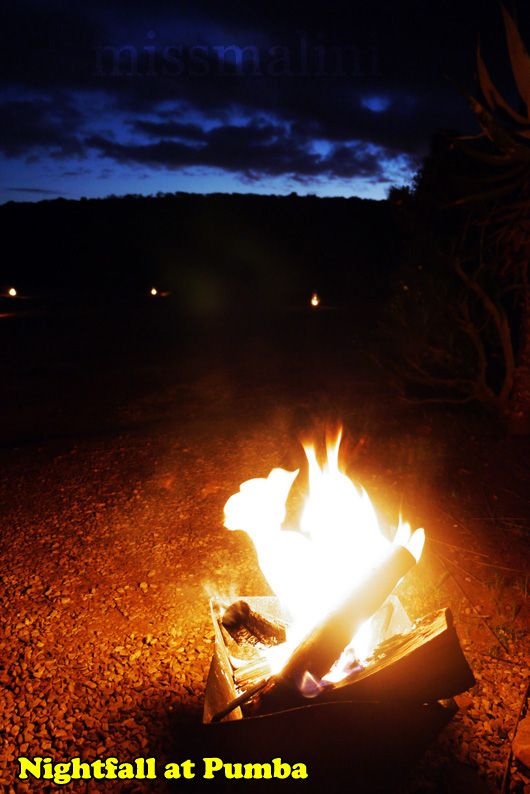 Nightfall at Pumba Private Game Reserve