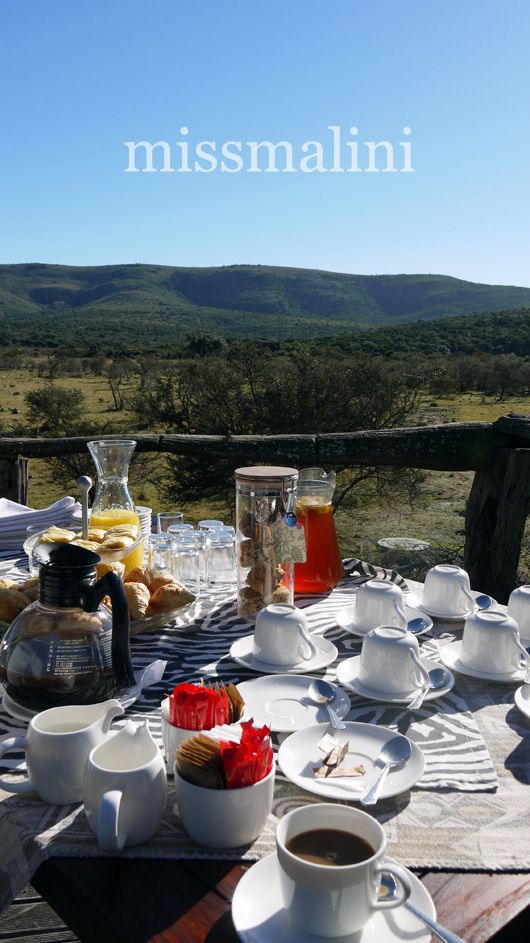 Breakfast in the bush