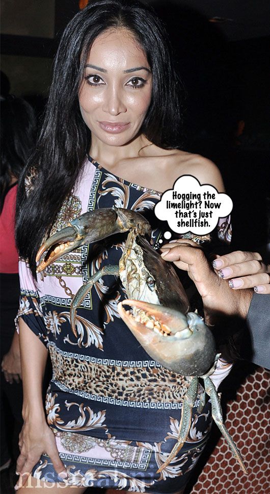 Sofia Hayat with a crab