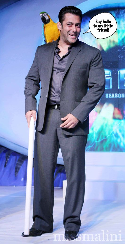 Salman Khan - Bigg Boss 6