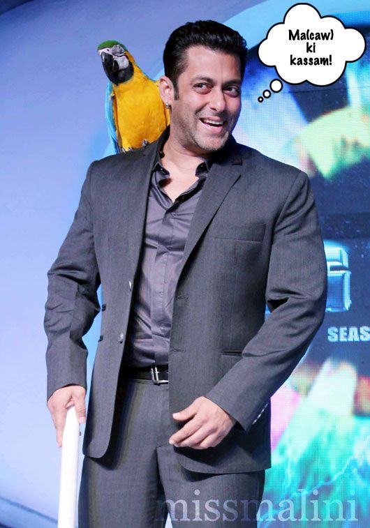 Salman Khan Bigg Boss 6