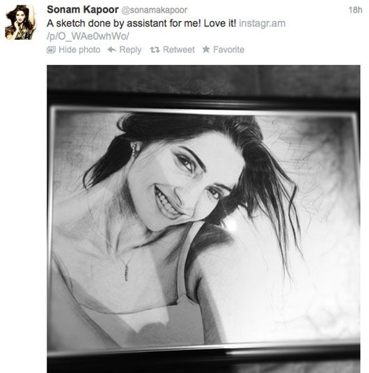 In Frame  Sonam Kapoor  BW Realistic Sketch   A3 size Portrait    Realistic drawings Bird paintings on canvas Pencil art drawings