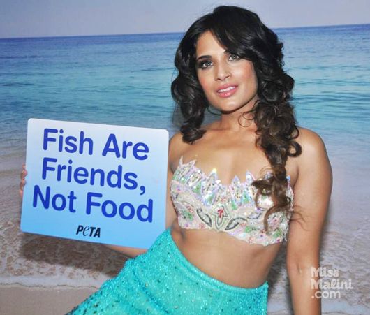 There’s Something Fishy About Richa
