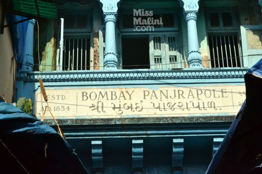 The Bombay Panjrapole